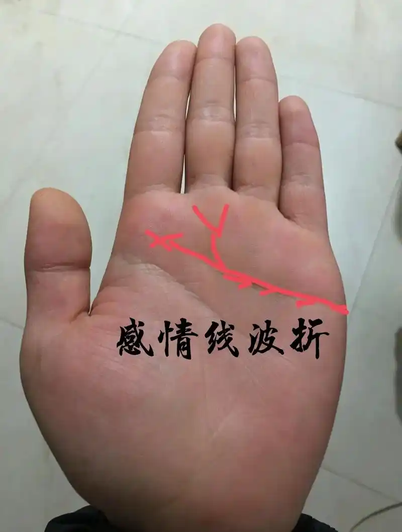 此手掌 感情线岛纹链丛生,感情一路较为波折 - 抖音