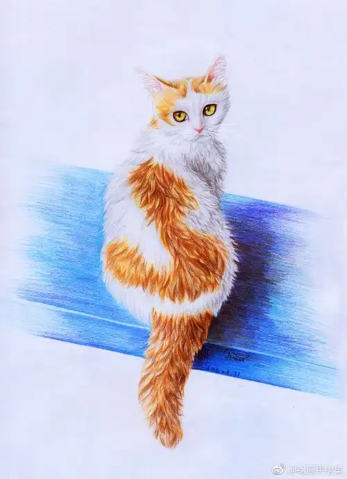 彩铅画可爱的猫咪们