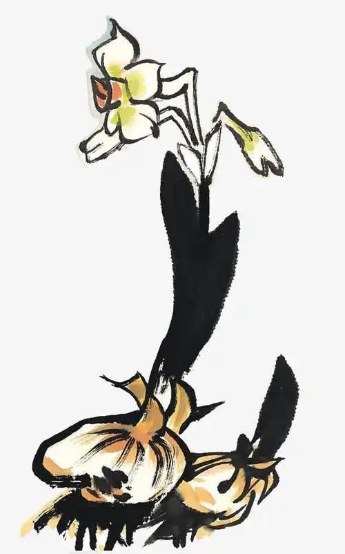 水墨水仙花
