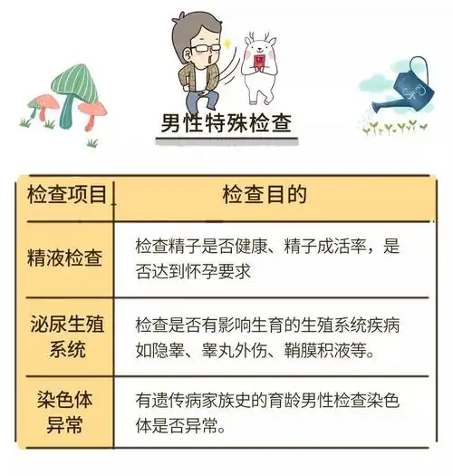 检查时间 准备怀孕前3-6个月 女性常规检查 体格检查,血常规,尿常规