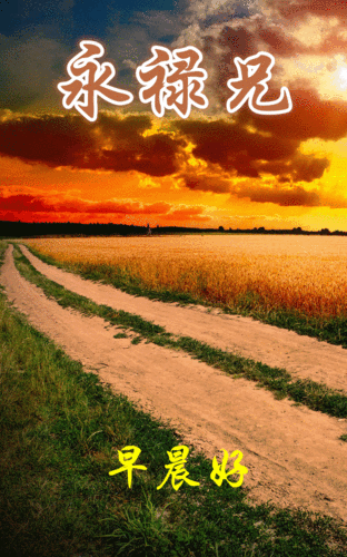 问候相册.主题画.路.问候人.北林群友.音乐.梦中的你.演唱.任妙音