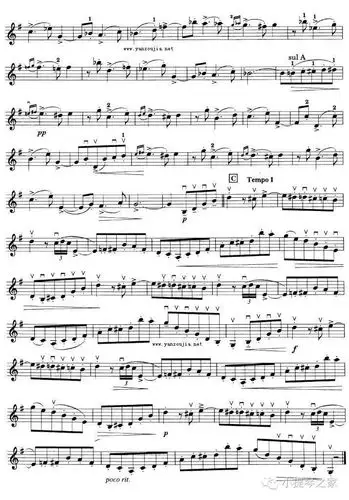 愉悦优美的旋律|《美丽的罗斯玛琳》附小提琴谱_乐谱