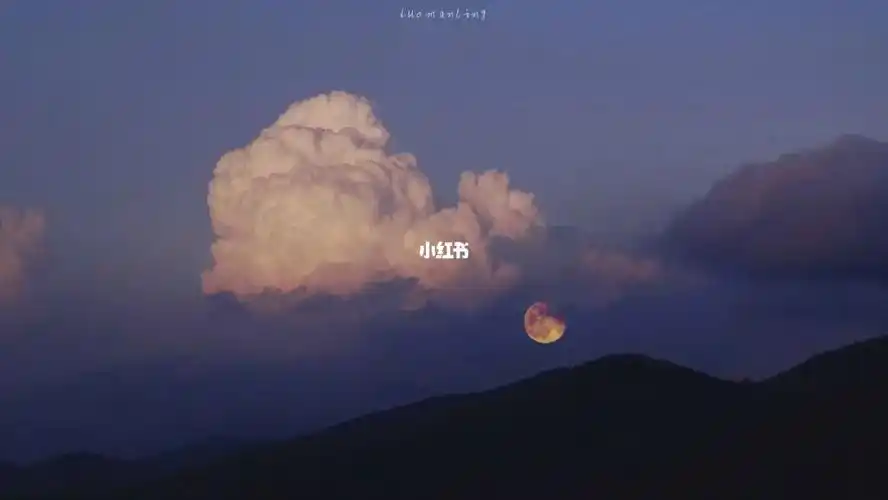 ipad 壁纸美女 动漫 壁纸高清无水印 极简 壁纸 ins高级壁纸高清全屏