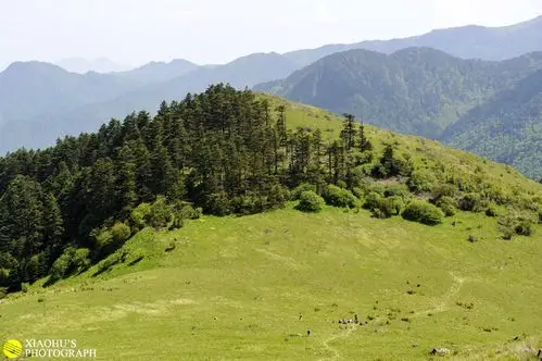 【神农架】徒步穿越无人区
