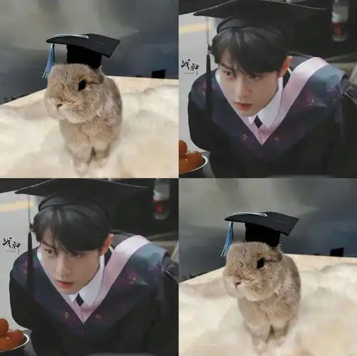 肖战好像长了兔耳朵