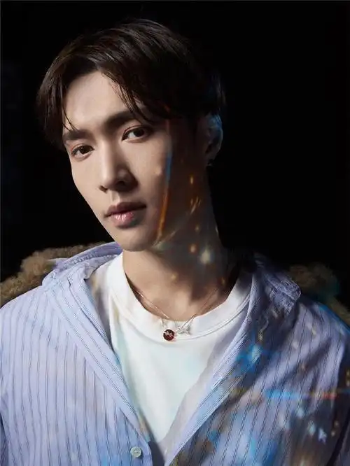 交叉毛衣金色玫瑰贝壳白贝壳张艺兴同款项链石项链项链