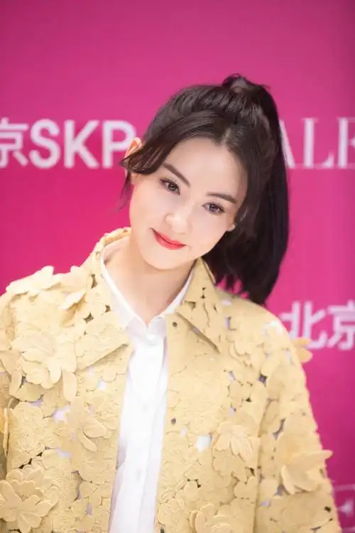 张柏芝个人资料及简历港星张柏芝