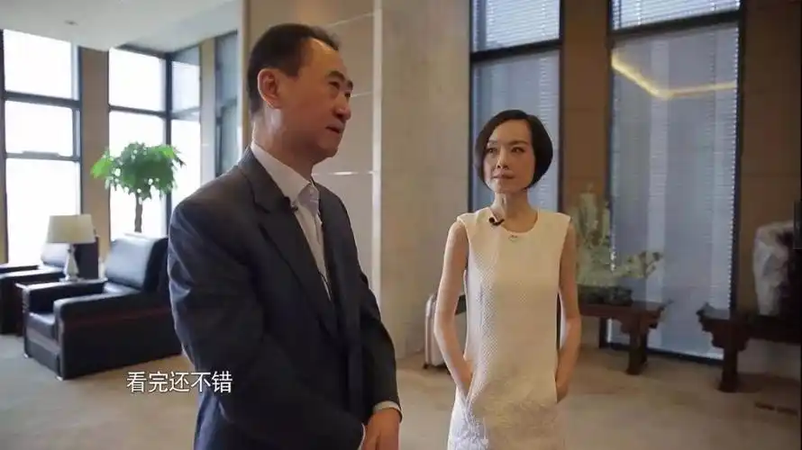 《鲁豫有约大咖一日行》王健林办公室