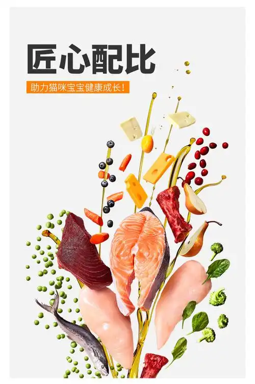 胡歌代言膳食营养全面均衡卫仕膳食营养全价幼猫粮18kg