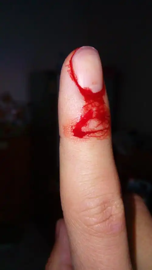 blackrooster 的推荐