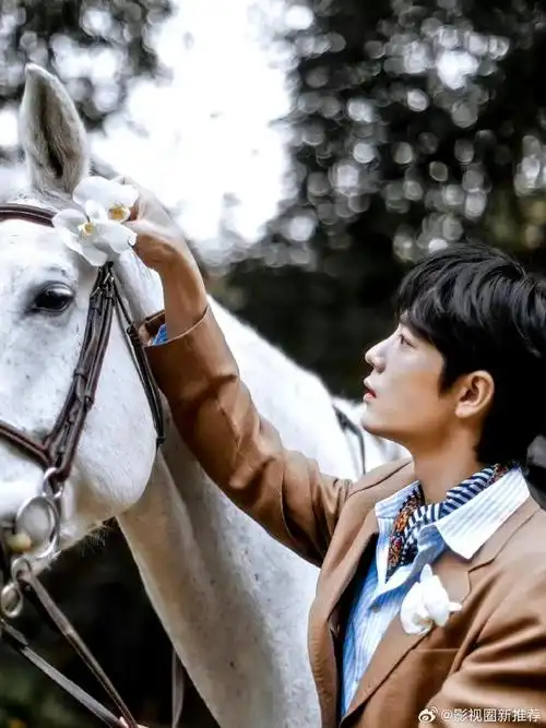 肖战咖色v领西装##肖战捧花写真