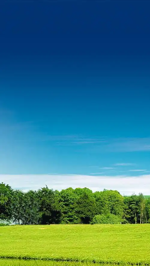 蓝天绿地h5背景