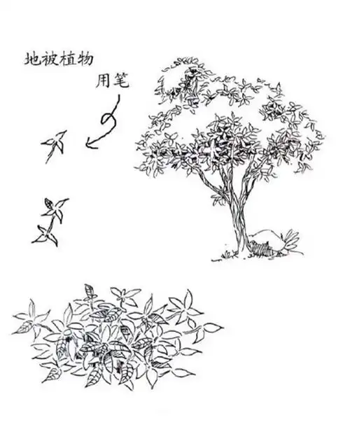 钢笔画入门:钢笔画的起稿教学