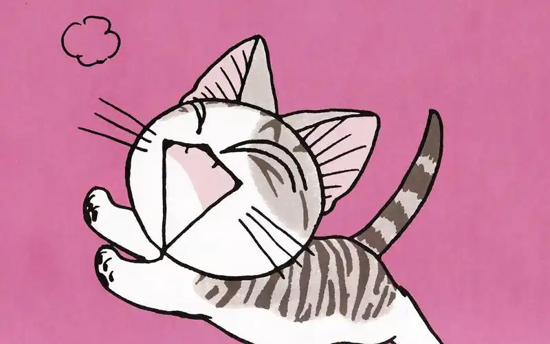 《甜甜起司猫》电脑桌面壁纸大全