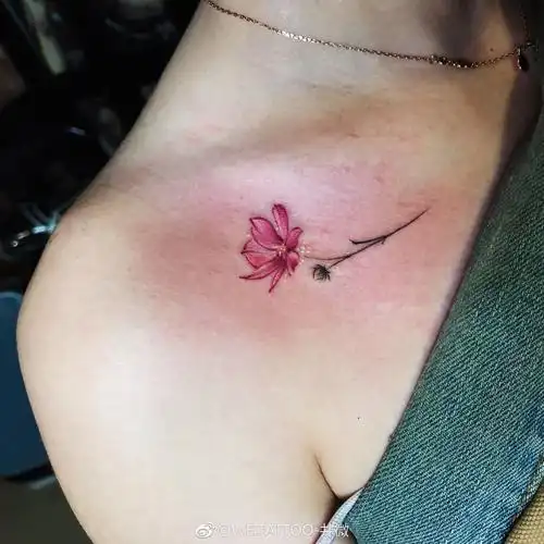 女生锁骨精致小清新字母纹身图案