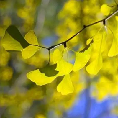 唯美风景头像图片大全高清