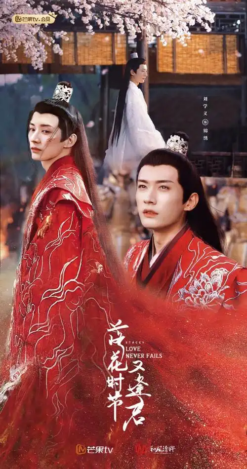 袁冰妍|张彬彬|刘学义|二级演员_网易订阅