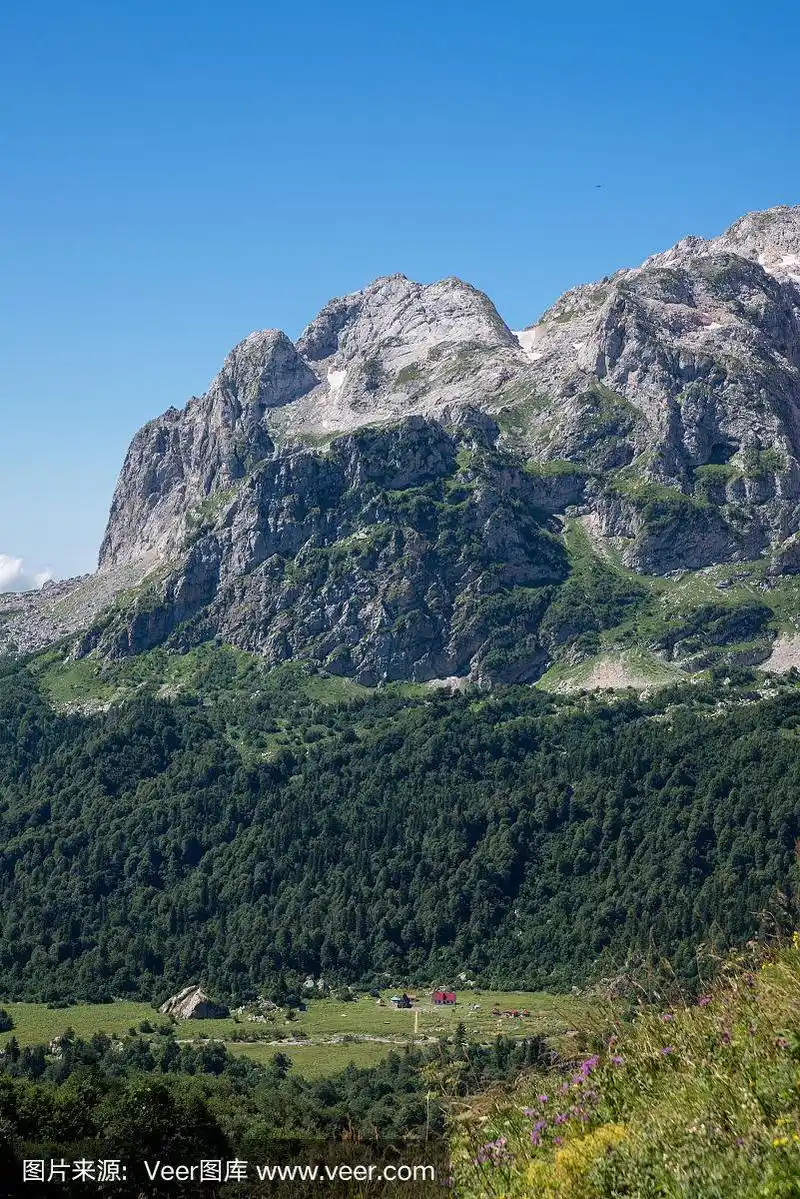 雄伟的高山风景的高加索保护区