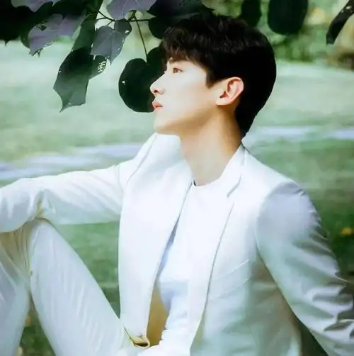 微信头像白敬亭