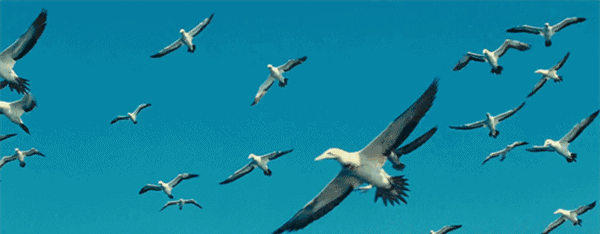 孩子爱提问,家长只耐心还不够,还需要……__凤凰网