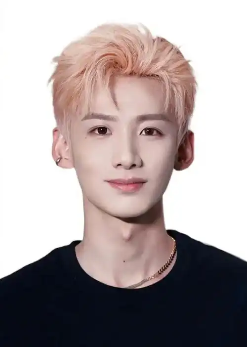 白敬亭新名字叫张三##白敬亭证件照被当做签证申请表模板