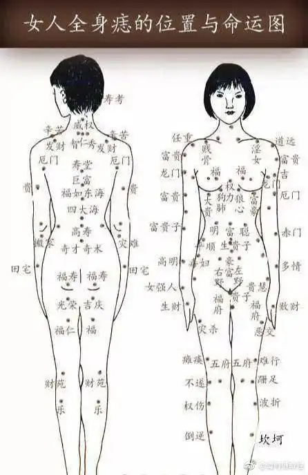 麻衣神婆女人全身痣相图解麻衣痣相秘传口决
