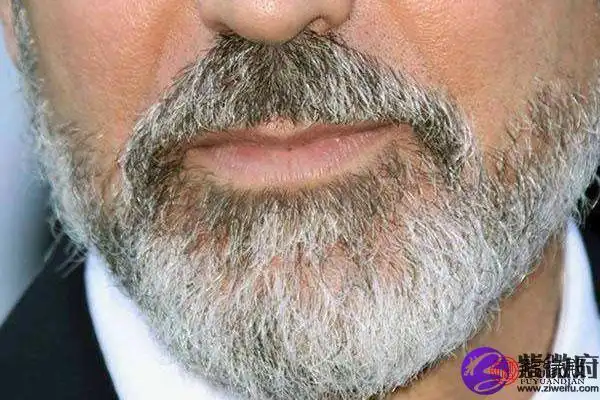 络腮胡面相的男人特点络腮胡在相学里也叫串腮胡子,上接鬓发.