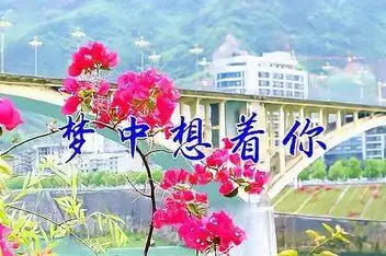 梦中想着你 门丽(伤感情歌)_百度视频搜索