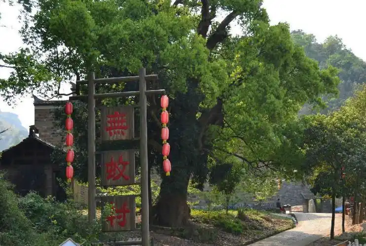 国内唯一无蚊村,依山傍水但没蚊子,夏季避暑度假首选,就在江西