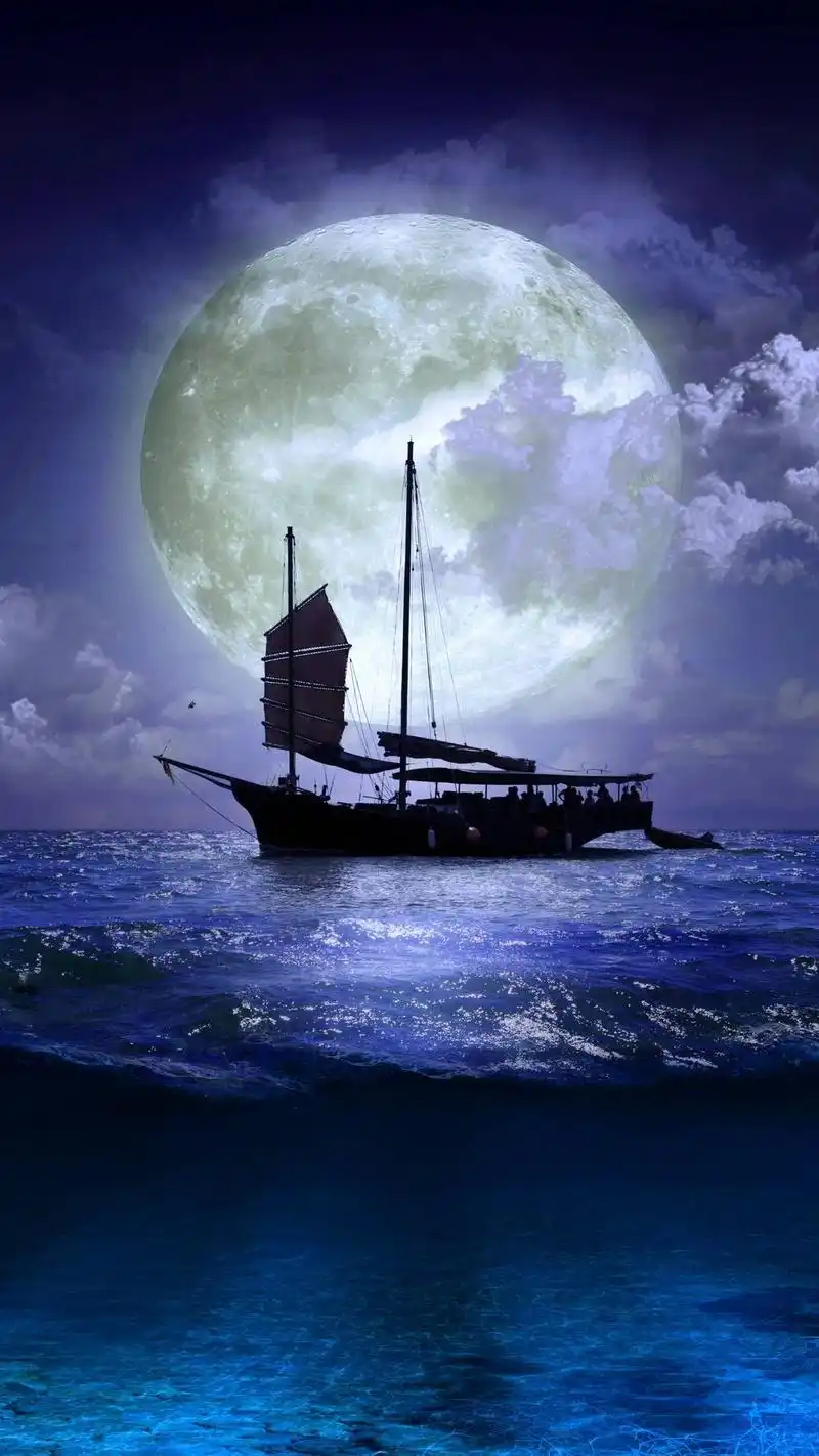 手机壁纸精选,高清美图