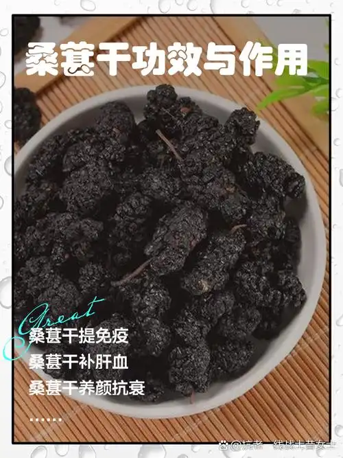 桑葚干功效与作用