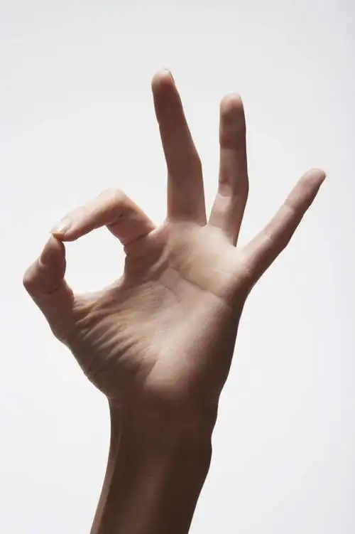 西方人,手,一个人,竖图,室内,特写,白天,白色背景,正面,满意,胜利