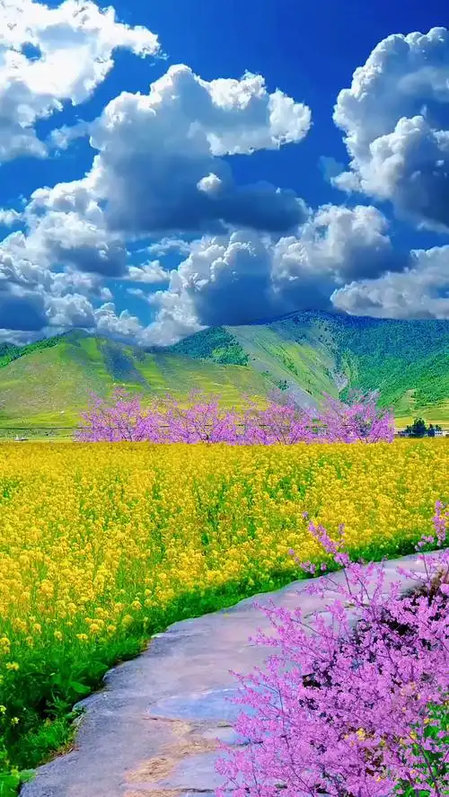 唯美意境 #治愈系风景