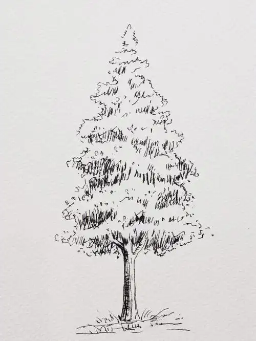 画画的日常  #插画  #树 #景观 #插画分享