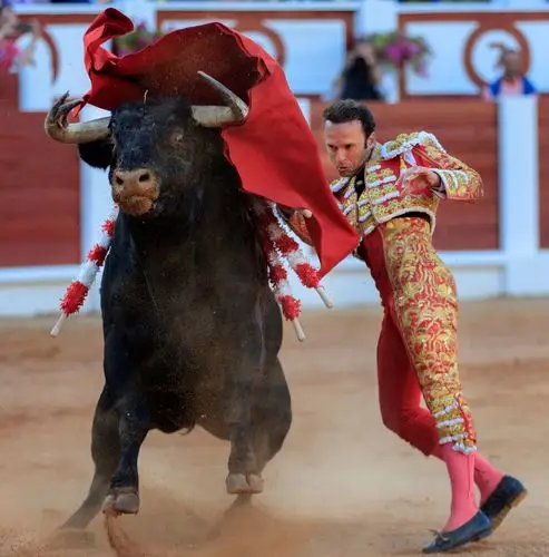 新华社照片,外代,2019年8月17日8月15日,在西班牙希洪,西班牙斗牛士