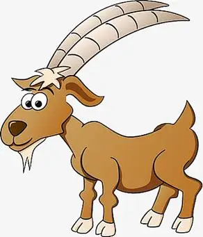 长长的山羊角的山羊