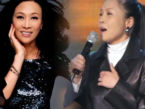 50岁田震近况如何(56岁田震现状毁容式衰老)(36)