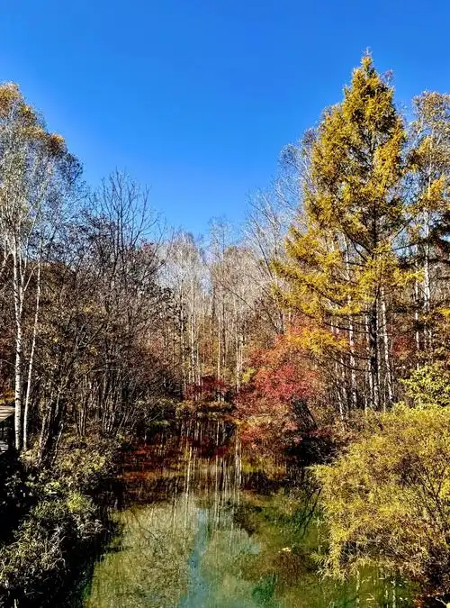 广东人眼中的吉林秋天:美景与攻略全分享!