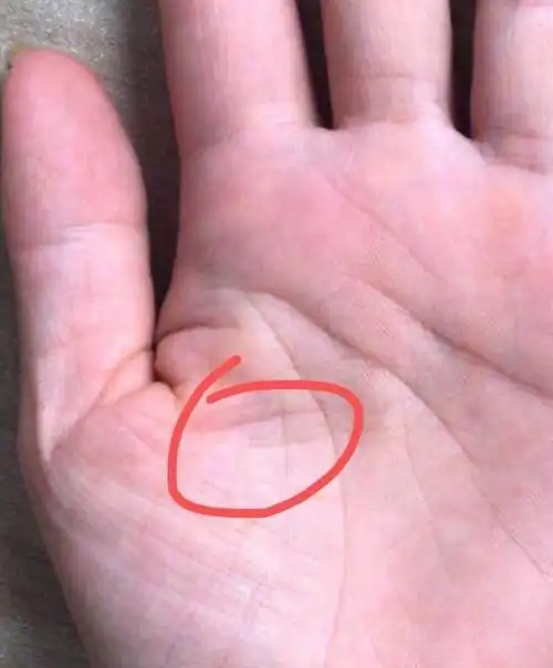 井字纹出现在月丘上面时说明这个人可以光宗耀祖,在木星丘上面表示