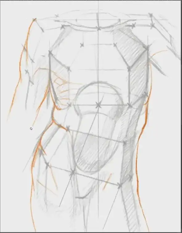 人体肌肉分布.人体肌肉分布图 #画画 #人体结构 #一起学画 - 抖音