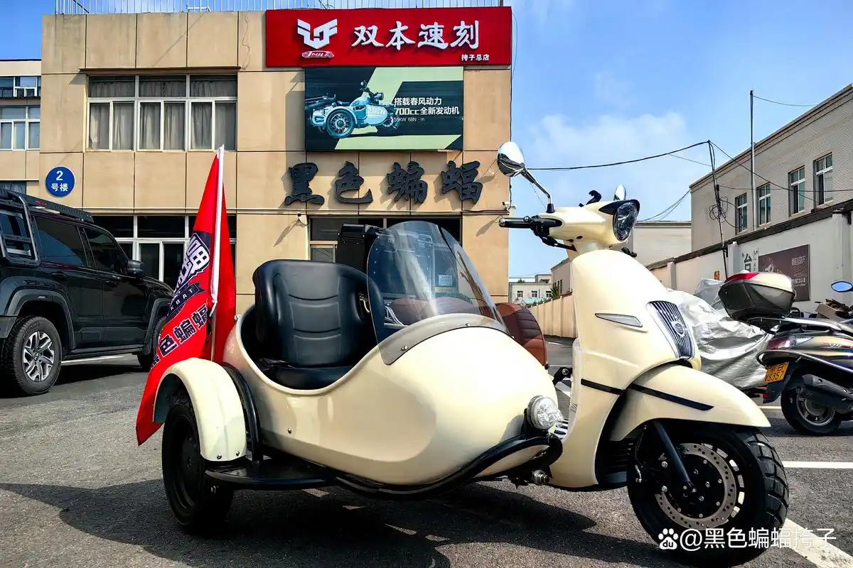 畅享独特骑行之旅:2024 款双本赛戈无级变速踏板边三轮尊享版