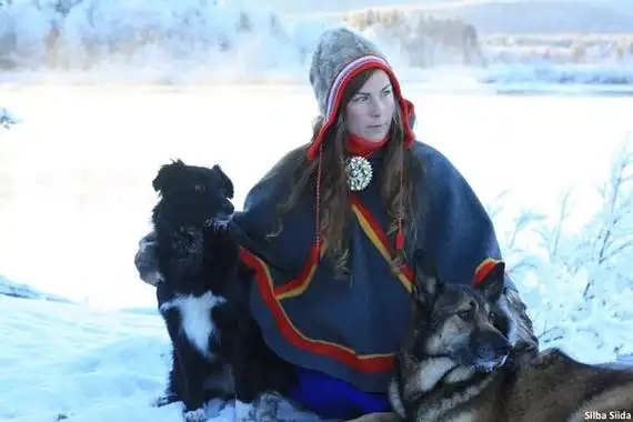 远离商业旅游区,住在极光下,拜访土著萨米人家,追踪野驼鹿,狗拉雪橇