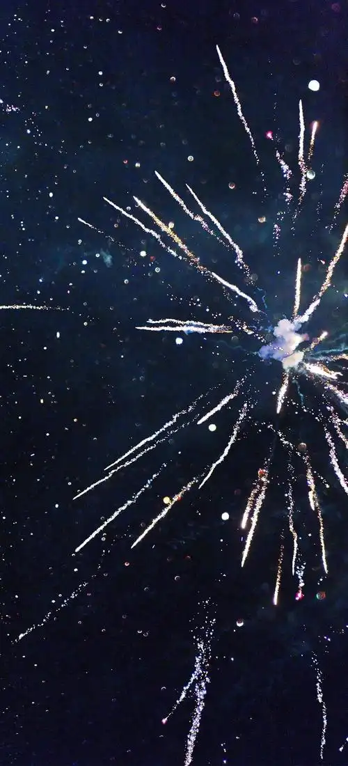 浪漫烟花在夜空中唯美绽放