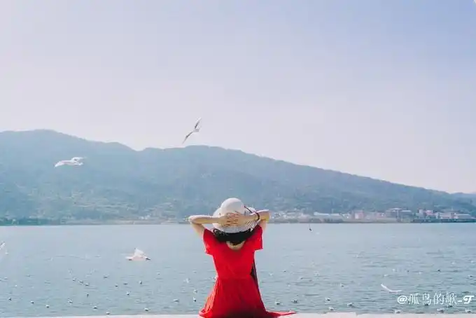 海鸥少女成就了云南完美的结局