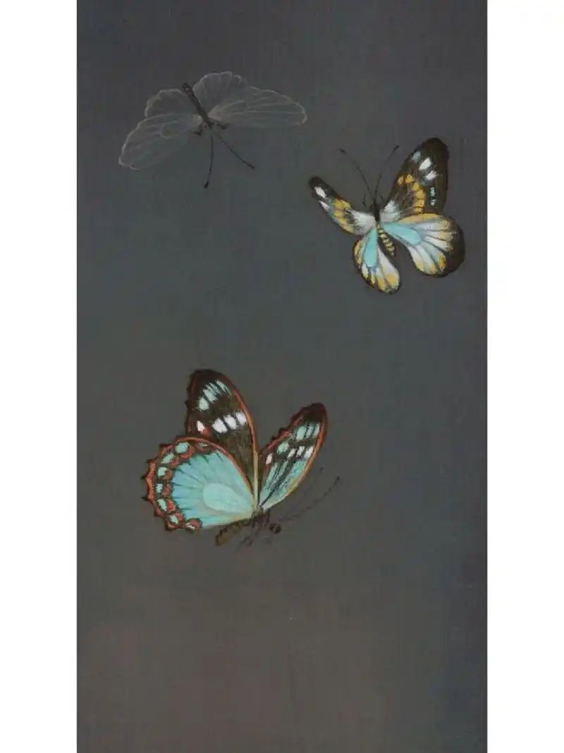 工笔|写生蝴蝶 墨色与石色的相遇