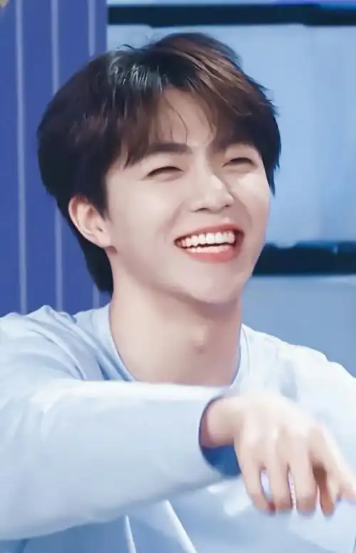 你言笑晏晏如微风如细雨陈立农