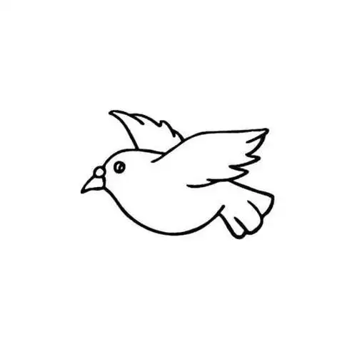 飞着的鸟简笔画