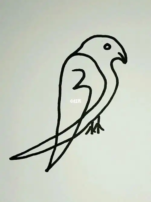 用数字3一笔画小鸟简笔画