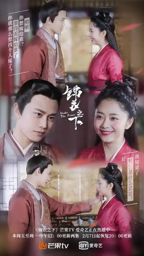 电视剧《锦衣之下》