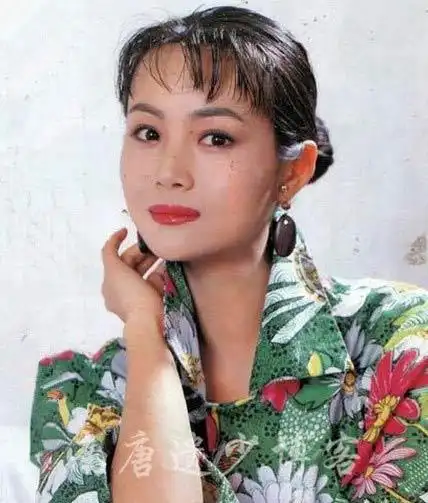 茹萍茹萍自古苏杭出美女,出生于杭州的茹萍年轻时候便靠着出众的相貌